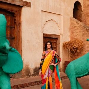 Vibrant Multicolor Sari